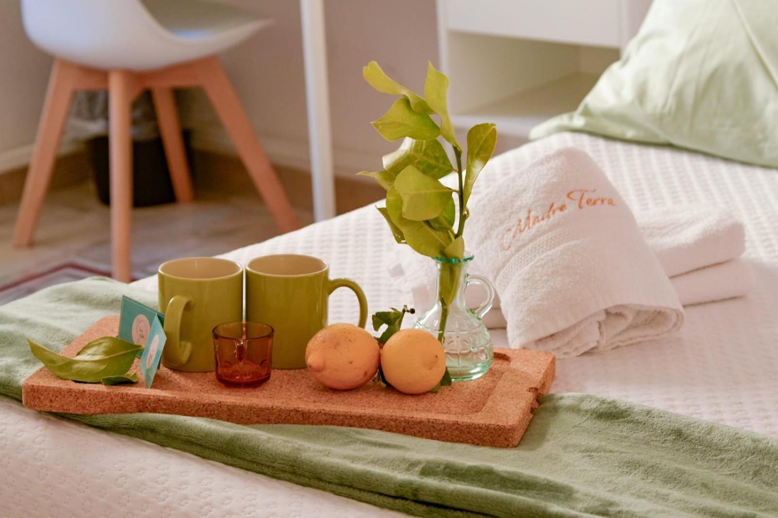 Madre Terra Apartment & Rooms 泰拉西尼 外观 照片