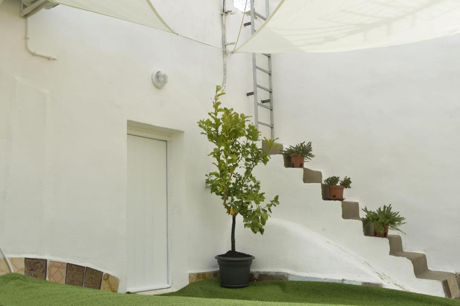 Madre Terra Apartment & Rooms 泰拉西尼 外观 照片